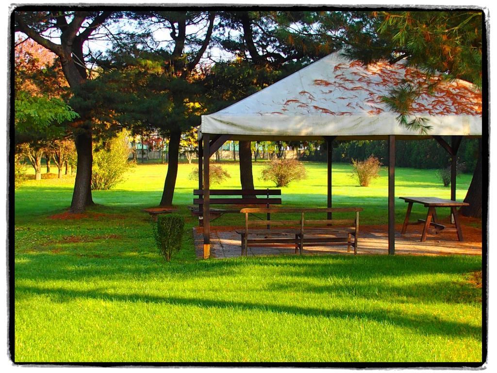 Agriturismo Greppi Crescentino Екстер'єр фото